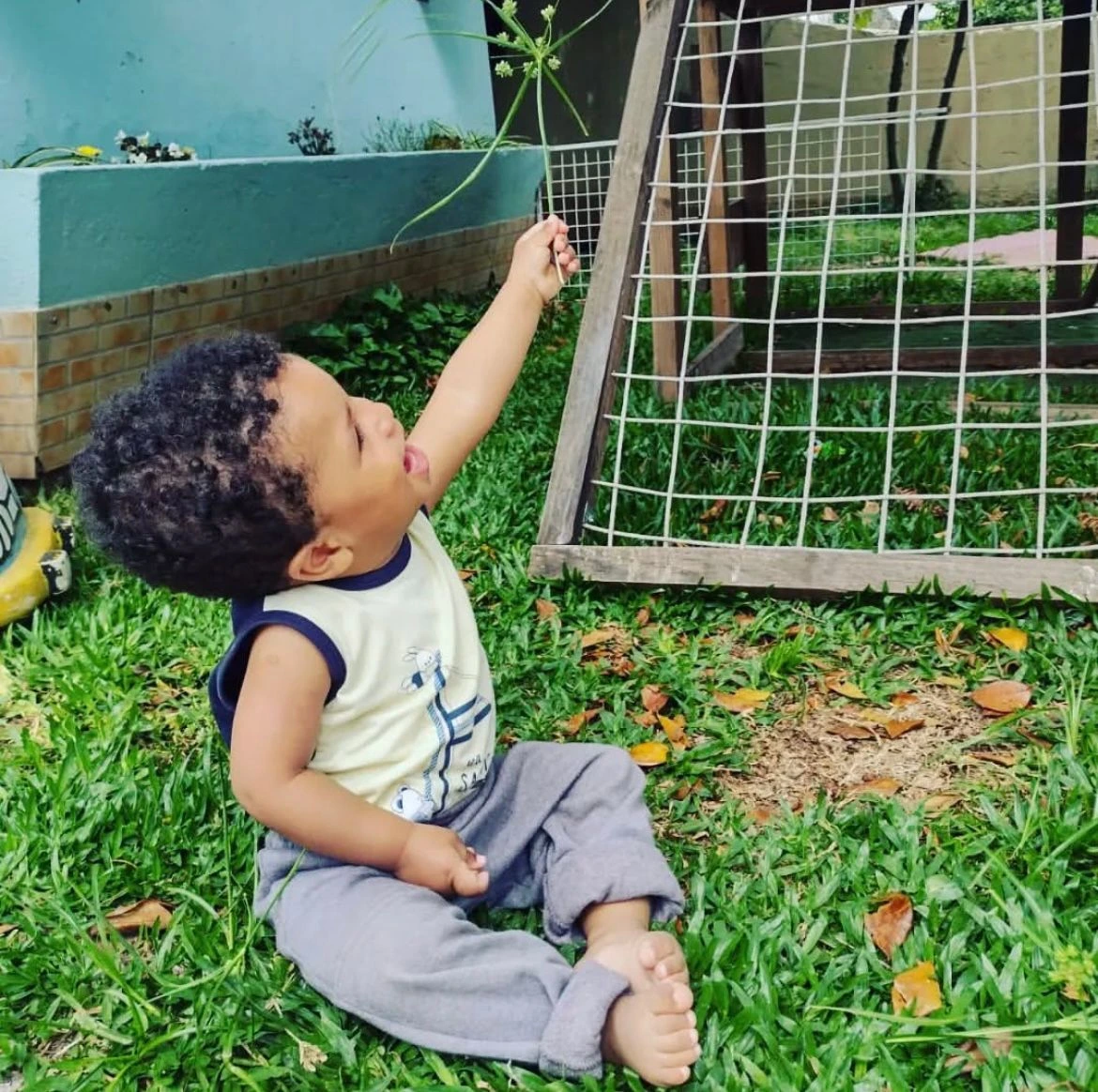 Postagem 2 do Instagram